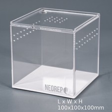 ACRYLIC INVERTEBRATE SPIDER