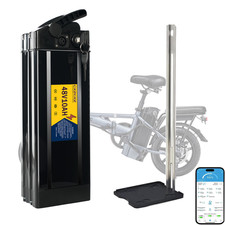 48V 10Ah Folding Electric Bike