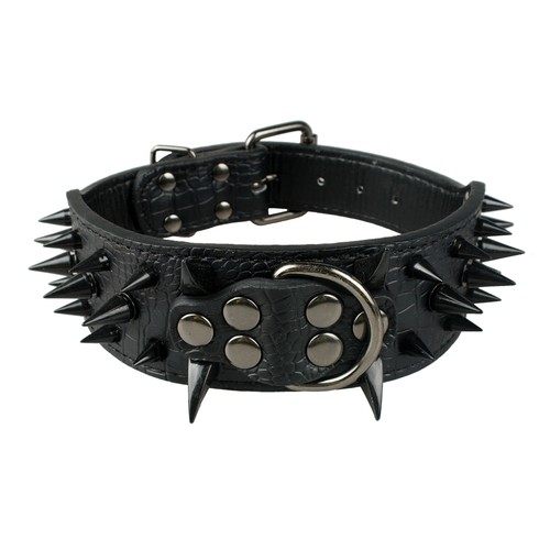 5cm wide spiked studded - wide,