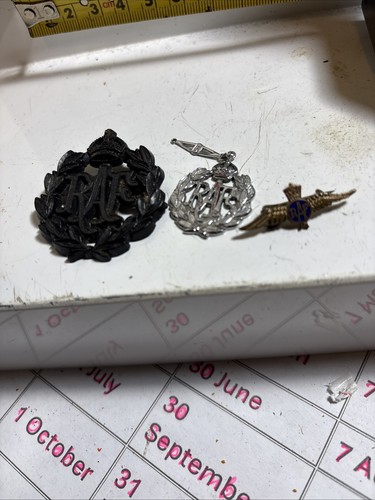 Raf wings gilt - raf,