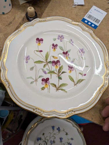 Spode wildflower series - wildflower, no4