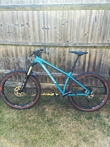 Santa cruz chameleon inch - cruz,