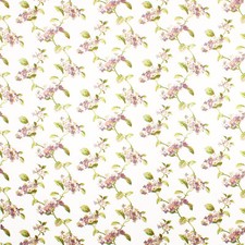 SWAFFER HAYWARD FABRIC