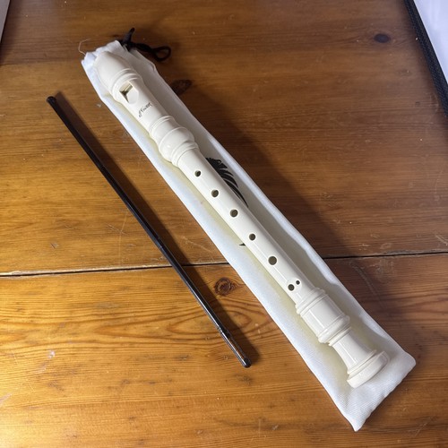 Tiger recorder school - tiger,