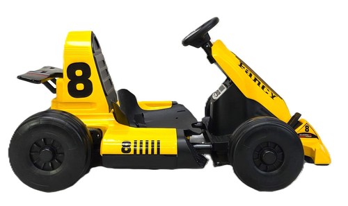 24v electric kart - go,