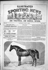 Antique Old Print 1862 Horse