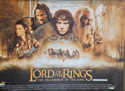 16x12 lord the rings fotr - lord,
