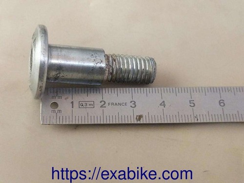 Special screw for ducati - screw,