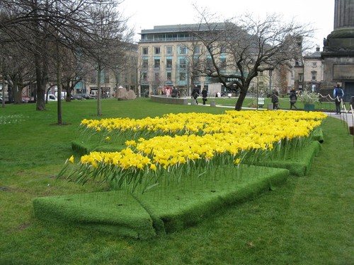 Photo marie curie great - a2,