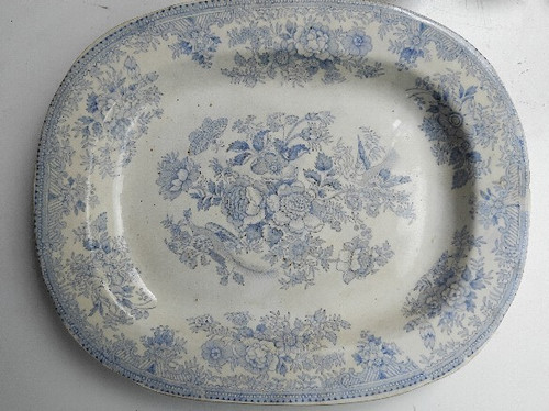 Antique asiatic pheasant - antique,