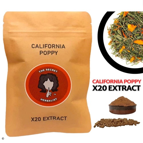California poppy - california,