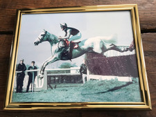 Framed photograph of Desert Orchid racehorse steeplechaser 26cm x 21cm