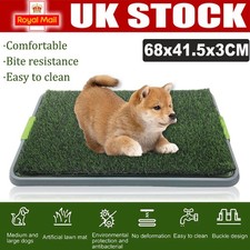 Pet Dog Toilet Mat Indoor