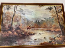 Framed Stag In Forest Picture
