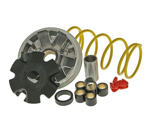 Sport variomatic malossi - sport,