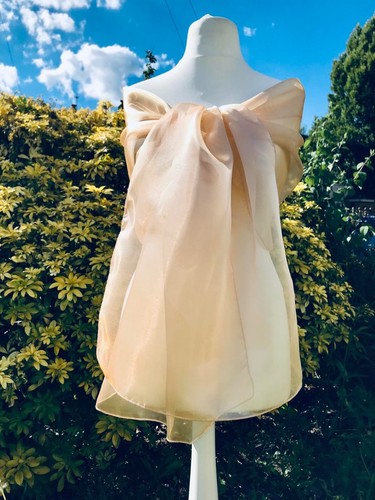 Champaign organza shawl - champaign,,