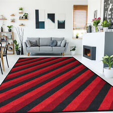 Non Slip Large Area Rug