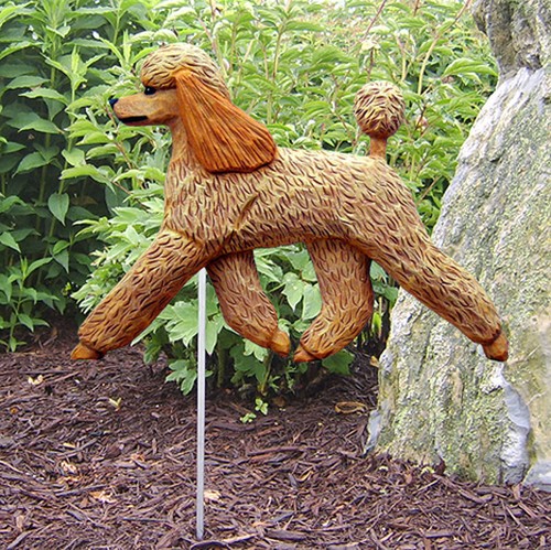 Poodle outdoor garden - poodle,