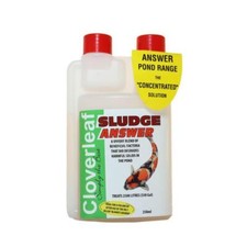 Cloverleaf Sludge Answer Pond