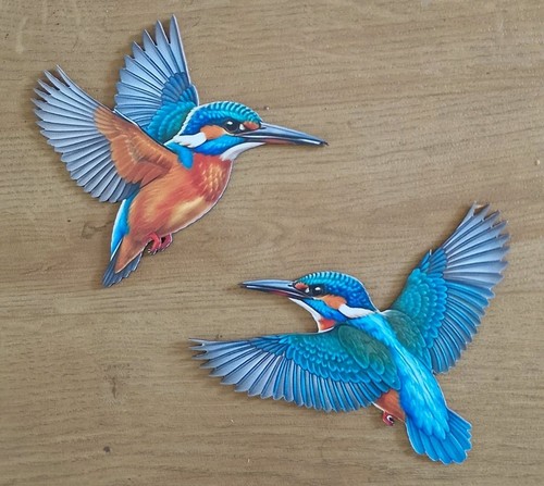 Flying kingfishers 2d - 2,