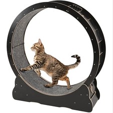 Large 46'' Wooden Cat Exercise