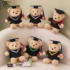Graduation Bear 9.8 Inch