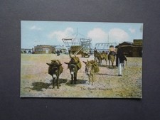 LINCOLNSHIRE:  A VIEW OF