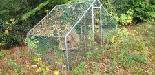 Chicken coop and fox proof run