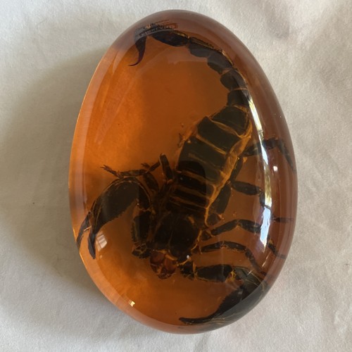 Amber acrylic resin encased - resin,