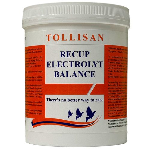 Recup electrolyt balance 500g - balance,