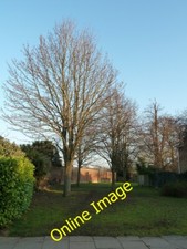 Photo 6x4 Undeveloped plot