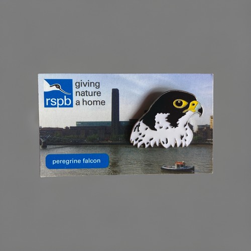 Rspb gnah peregrine falcon - peregrine,