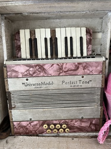 Old squeeze box - squeeze,