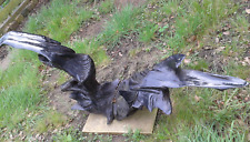 Spiritual Chesnut Wood root Sculpture Natural Art Decor for large home or garden