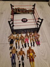 WWE Hell In The Cell Ring,Belt