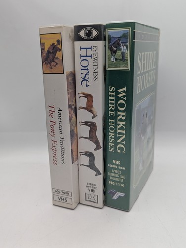 Horse vhs video - vhs, job