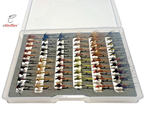 Eliteflies competition - eliteflies, 60