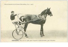 Horse Racing No. 35955 Calvados Bay 1913 Horses Sulky Supplement To France