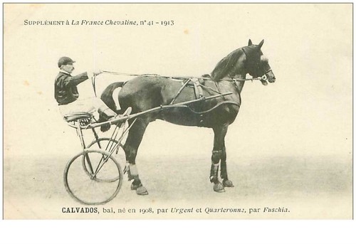 Horse racing 35955 - racing, no.