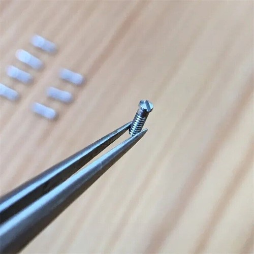 Watch case back screw for - screw,