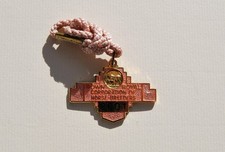 2001 DOWN ROYAL RACECOURSE ANNUAL MEMBERS METAL BADGE