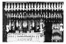 rs2020 - Andrews Butchers Shop, 1st prize Poultry Display - photo 6x4