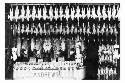 Rs2020 andrews butchers - -,