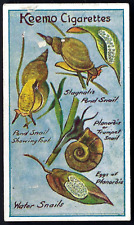 ROBINSON - NATURE STUDIES - #18 WATER SNAILS