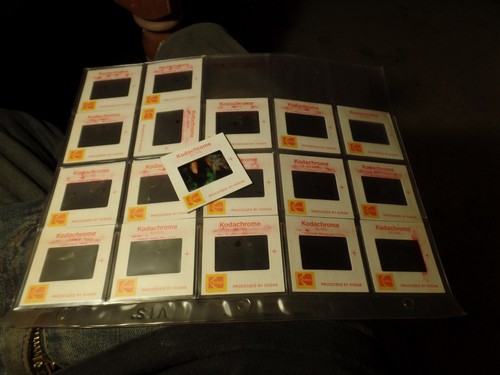 Lot slides woman female - lot,