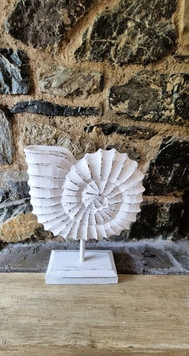 Large nautilus sea shell - large,