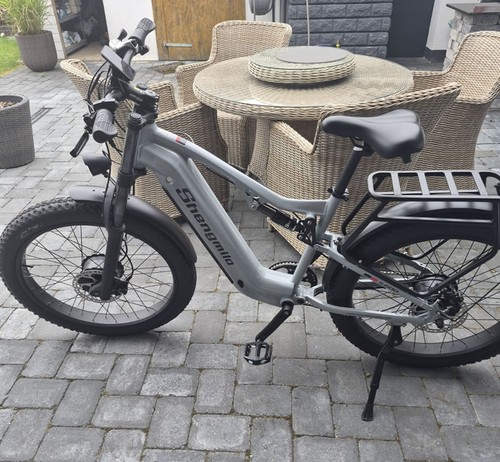 Dual motor electric bike - motor,