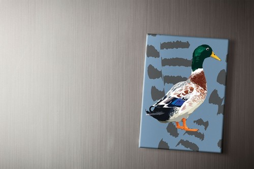 Mallard duck fridge - mallard, |