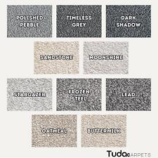 Mayfair 13.5mm Pile Carpet with Action Backing – High Quality Flooring