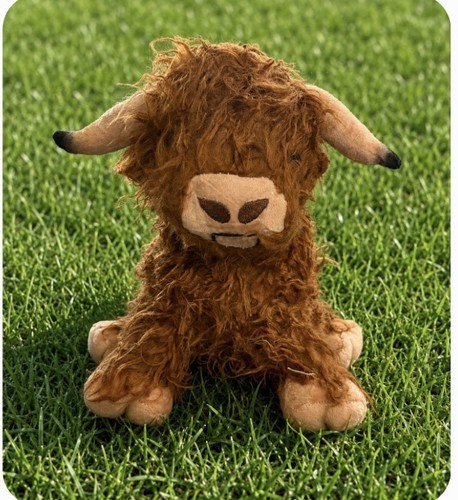 Highland cow cute cuddly - cow,